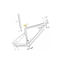 Goma Tija Asiento BMC Roadmachine